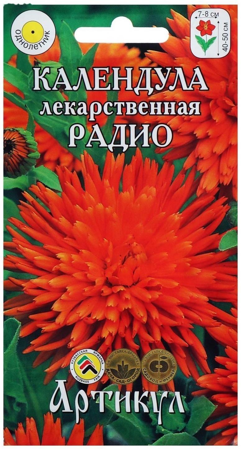 Семена цветов Календула «Радио», О, 0,3 г.