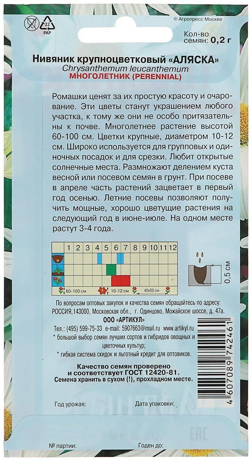 Семена цветов Нивяник 