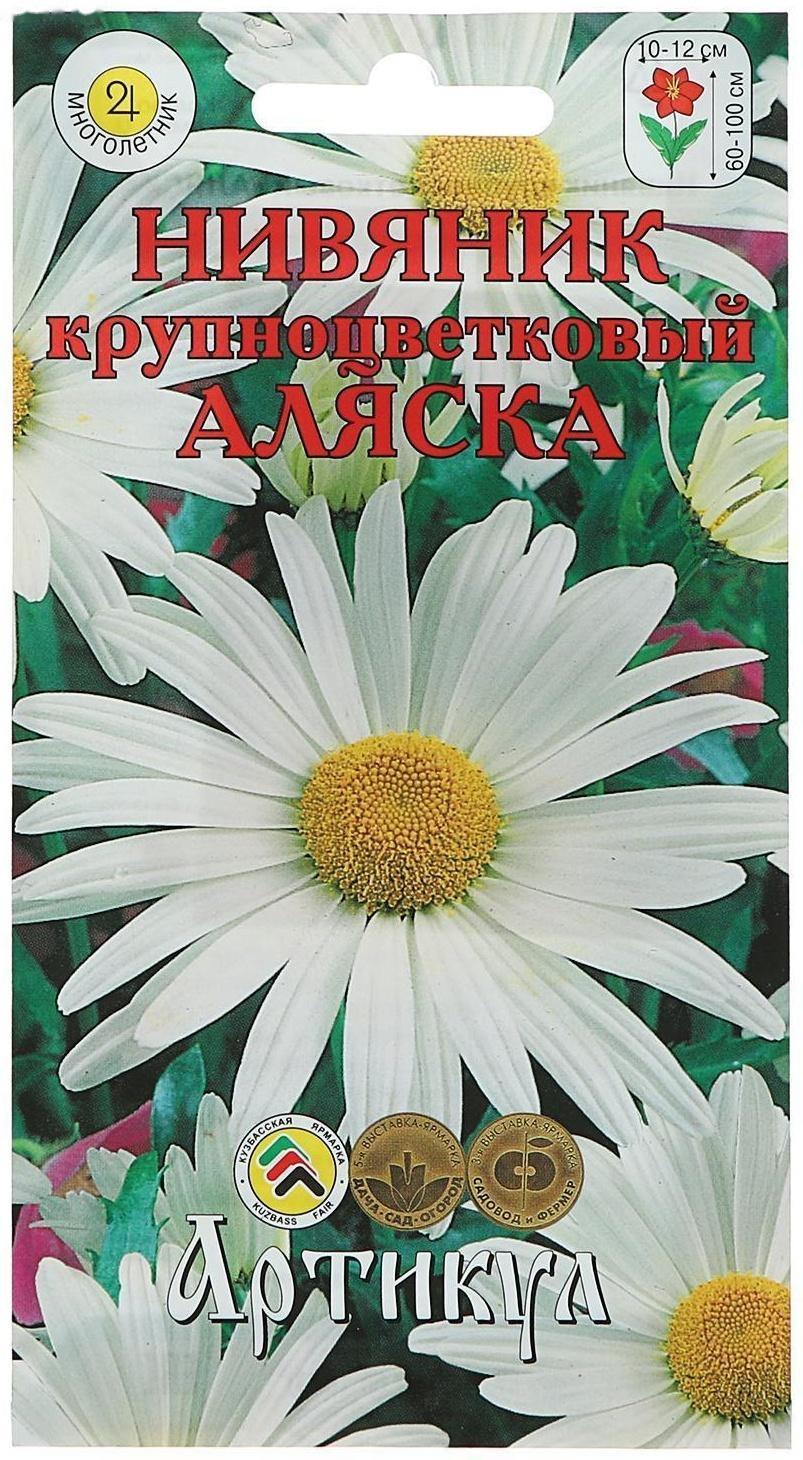 Семена цветов Нивяник 