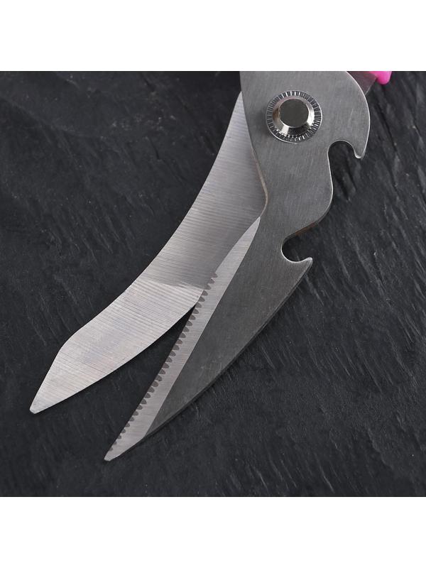 Ножницы кухонные для мяса и рыбы Доляна «Краски», 20 см, цвет МИКС