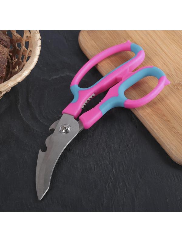 Ножницы кухонные для мяса и рыбы Доляна «Краски», 20 см, цвет МИКС