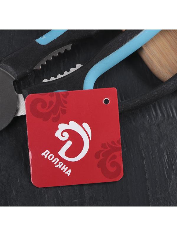 Ножницы кухонные для мяса и рыбы Доляна «Краски», 20 см, цвет МИКС