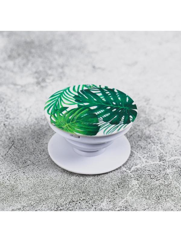 Набор попсокет с нанесением с держателем для авто «Тропики», 16.6 × 8 см