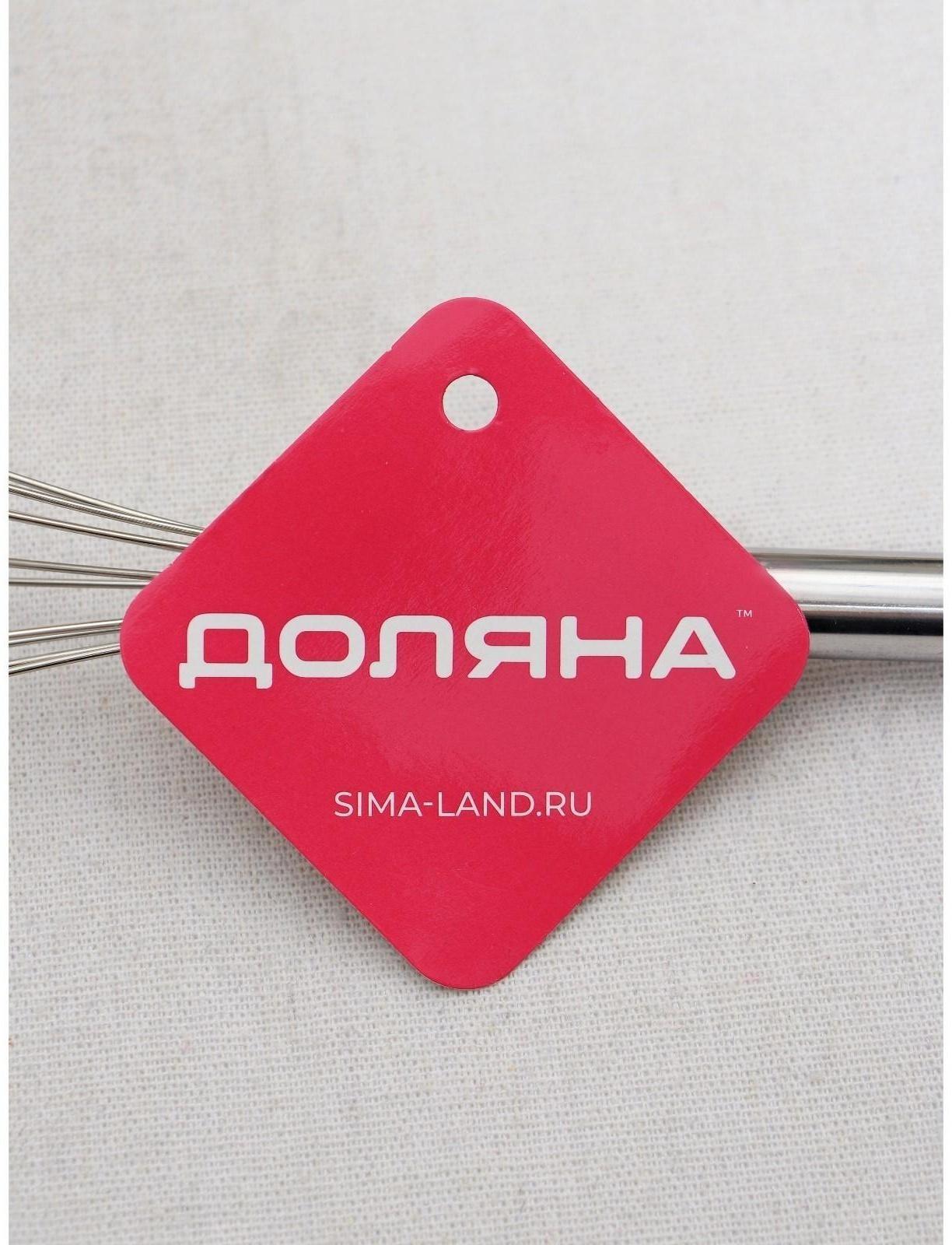 Венчик для взбивания Доляна «Помощник», 24 см, цвет серебристый