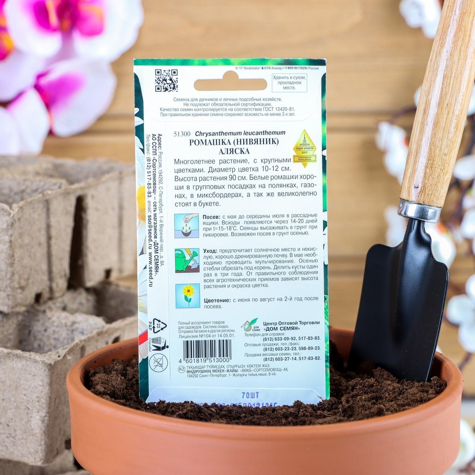 Семена цветов Ромашка 