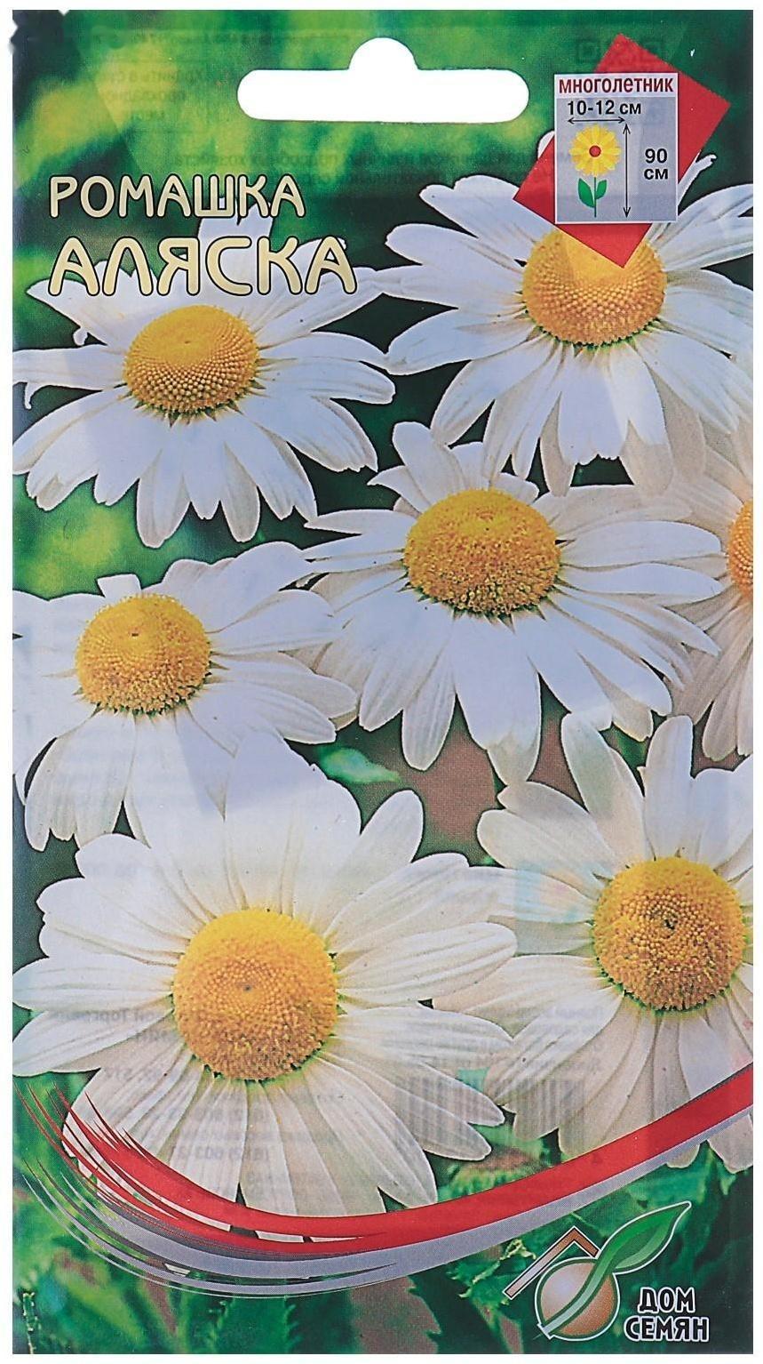 Семена цветов Ромашка 