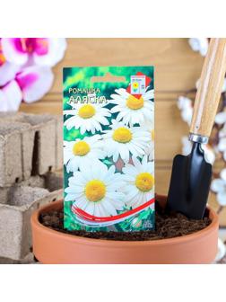 Семена цветов Ромашка 