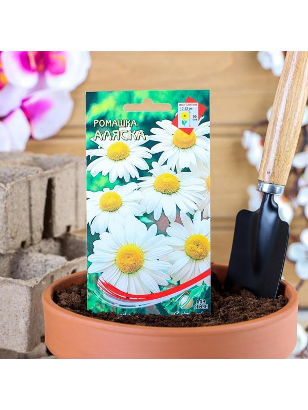 Семена цветов Ромашка 
