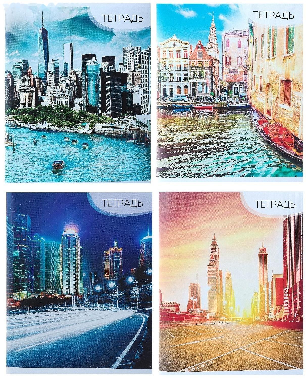 Тетрадь 96 листов в линейку Calligrata 