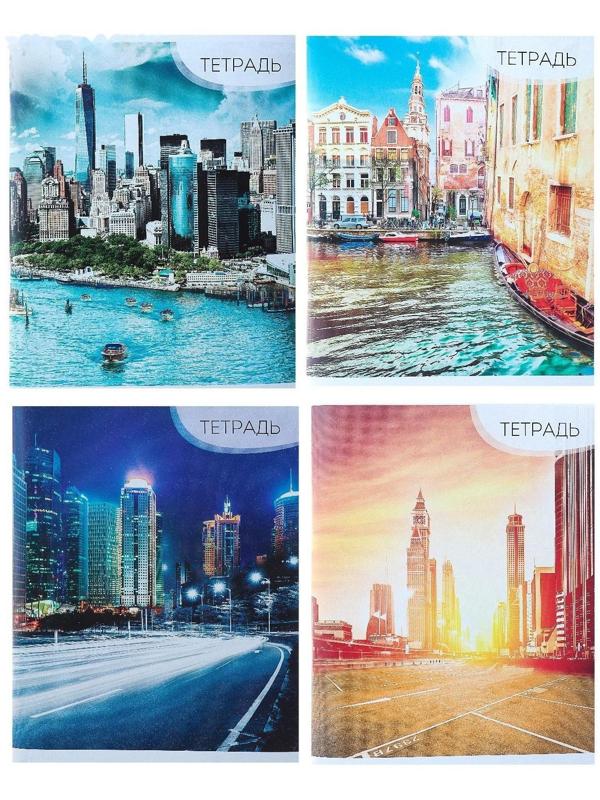 Тетрадь 96 листов в линейку Calligrata 