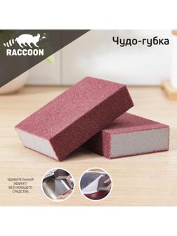 Набор губок чистящий Raccoon «Чудо-губка», 10,5×7×5 см, 2 шт