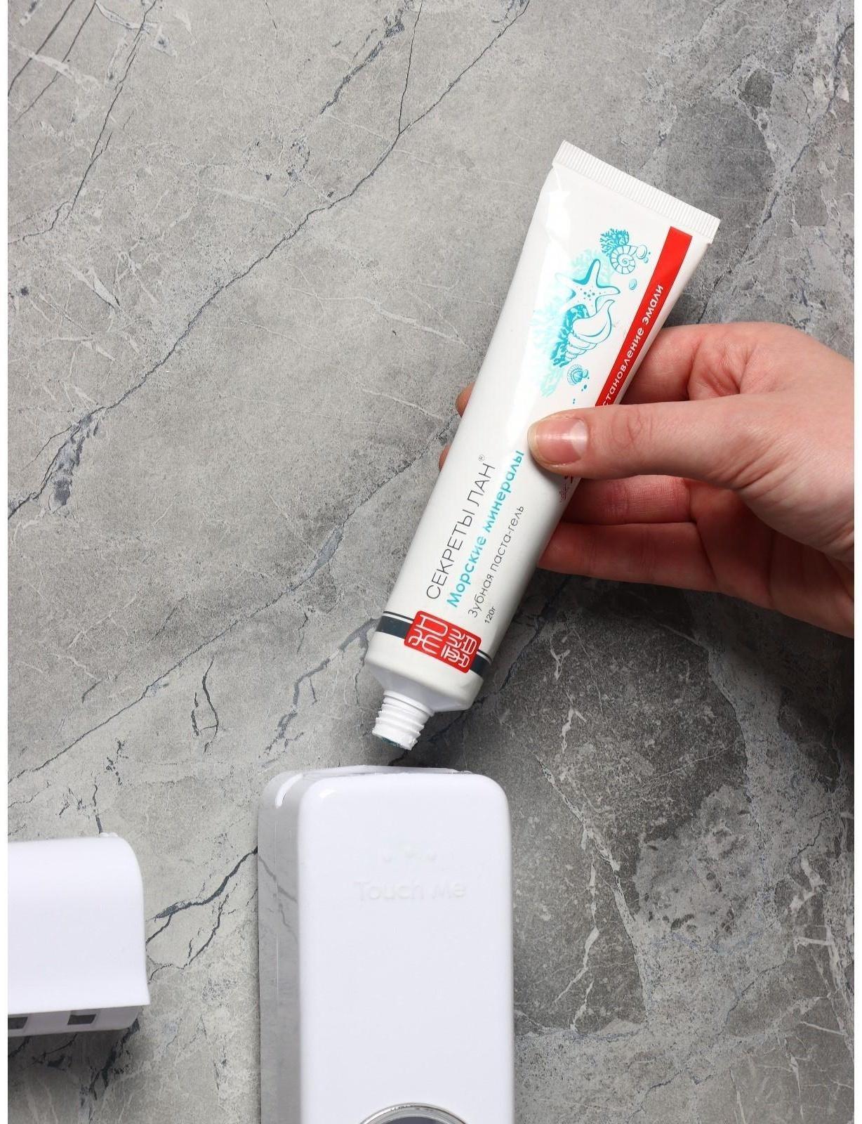 Держатель для зубных щёток и выдавливатель для зубной пасты, 16×10,5 см, цвет МИКС