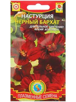 Семена цветов Настурция 
