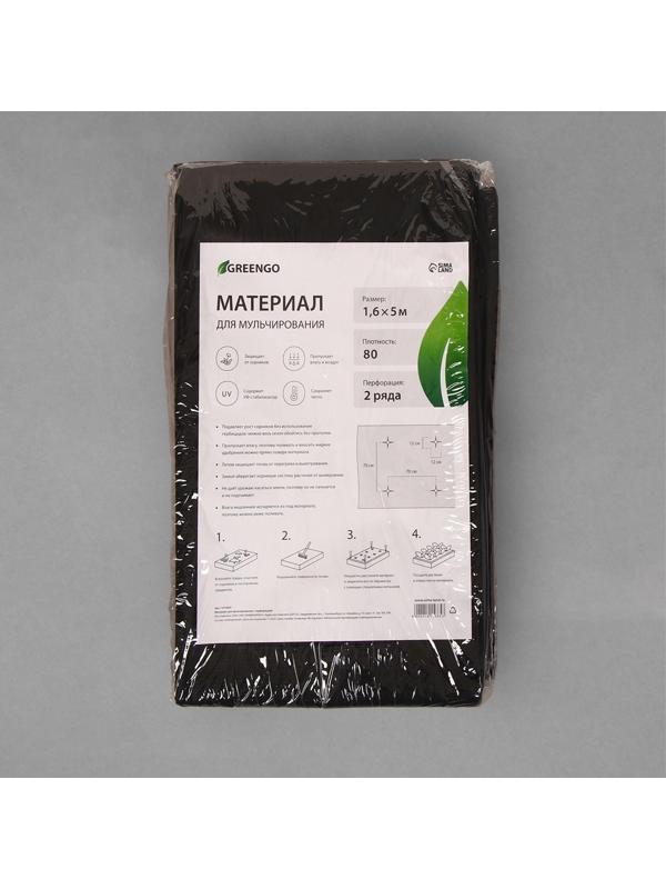 Материал мульчирующий, с перфорацией, 5 × 1,6 м, плотность 80 г/м², с УФ-стабилизатором, чёрный, Greengo, Эконом 20%