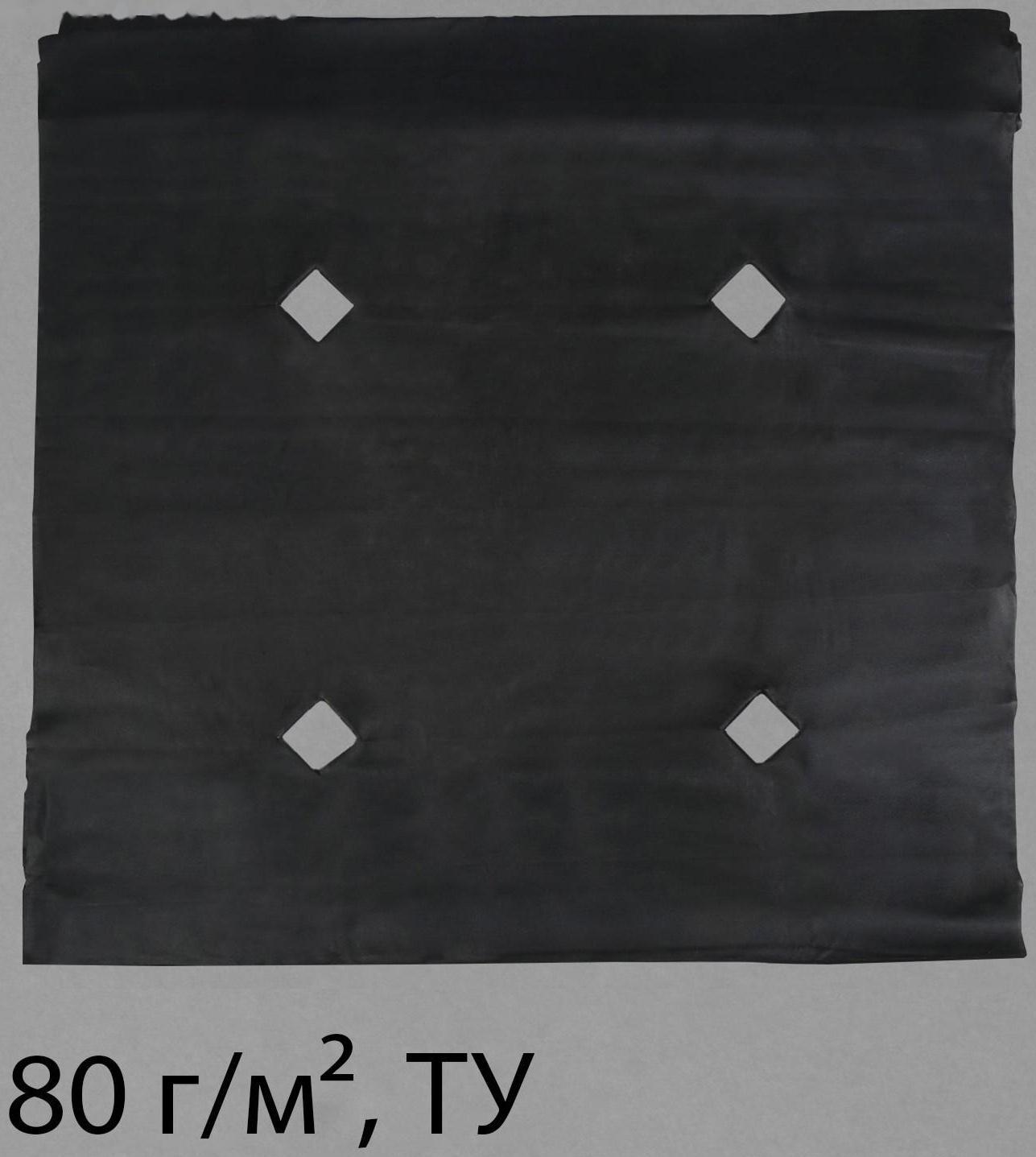 Материал мульчирующий, с перфорацией, 10 × 1,6 м, плотность 80 г/м², с УФ-стабилизатором, чёрный, Greengo, Эконом 20%