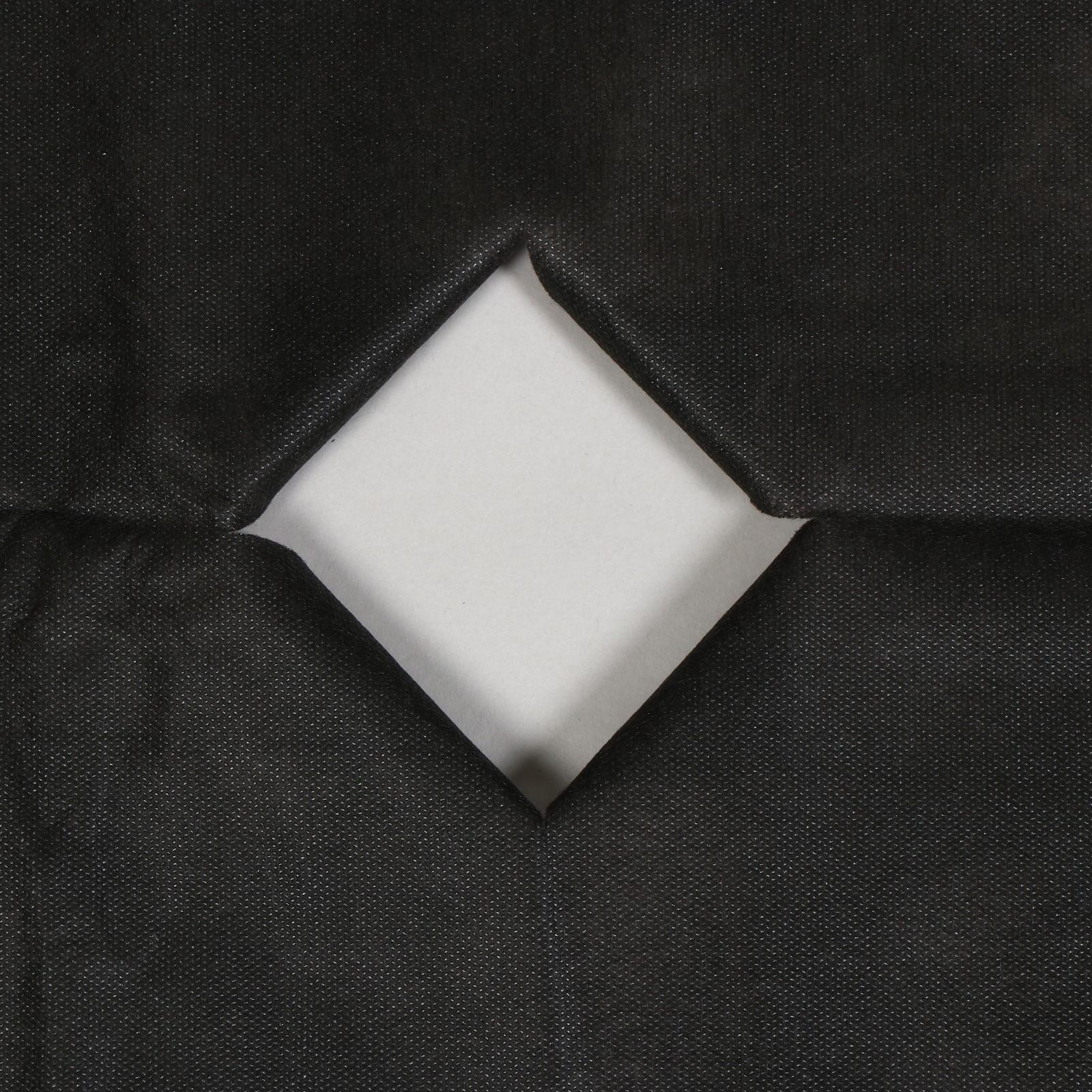 Материал мульчирующий, с перфорацией, 10 × 1,6 м, плотность 80 г/м², с УФ-стабилизатором, чёрный, Greengo, Эконом 20%