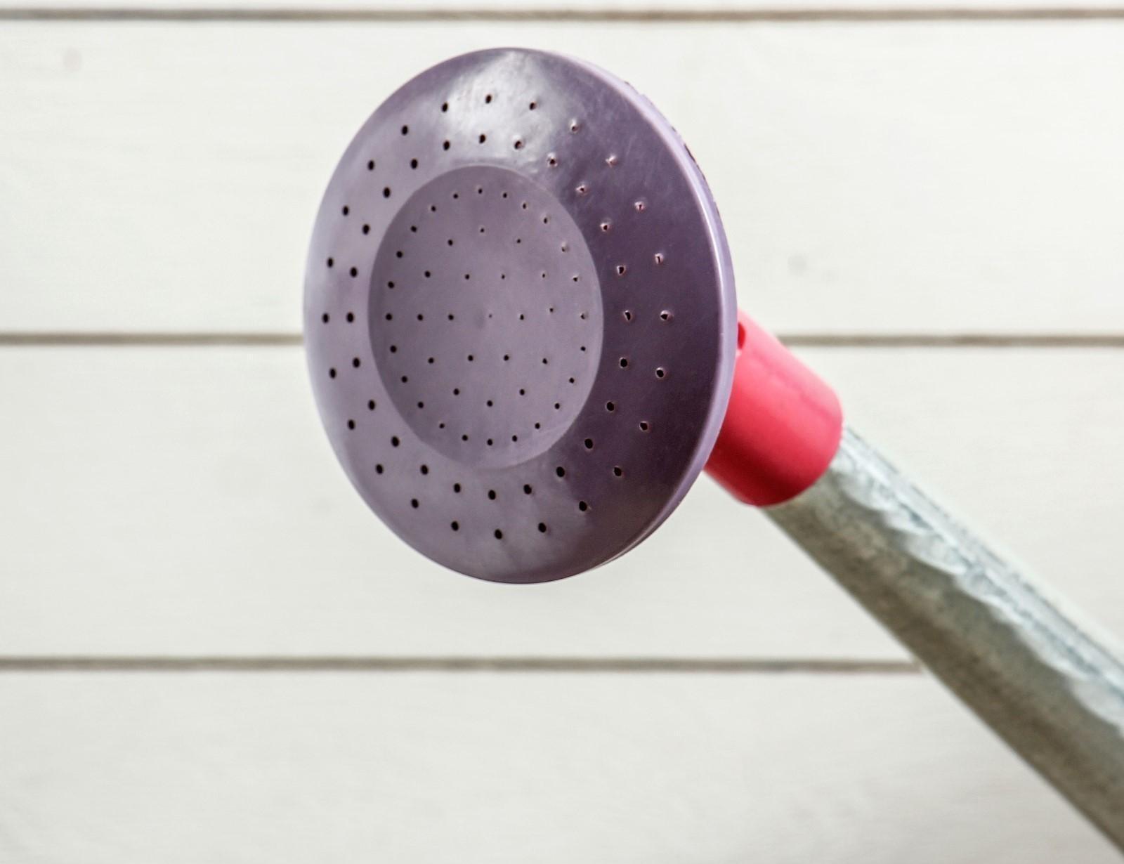 Лейка, 5 л, с рассеивателем, оцинкованная, без рисунка