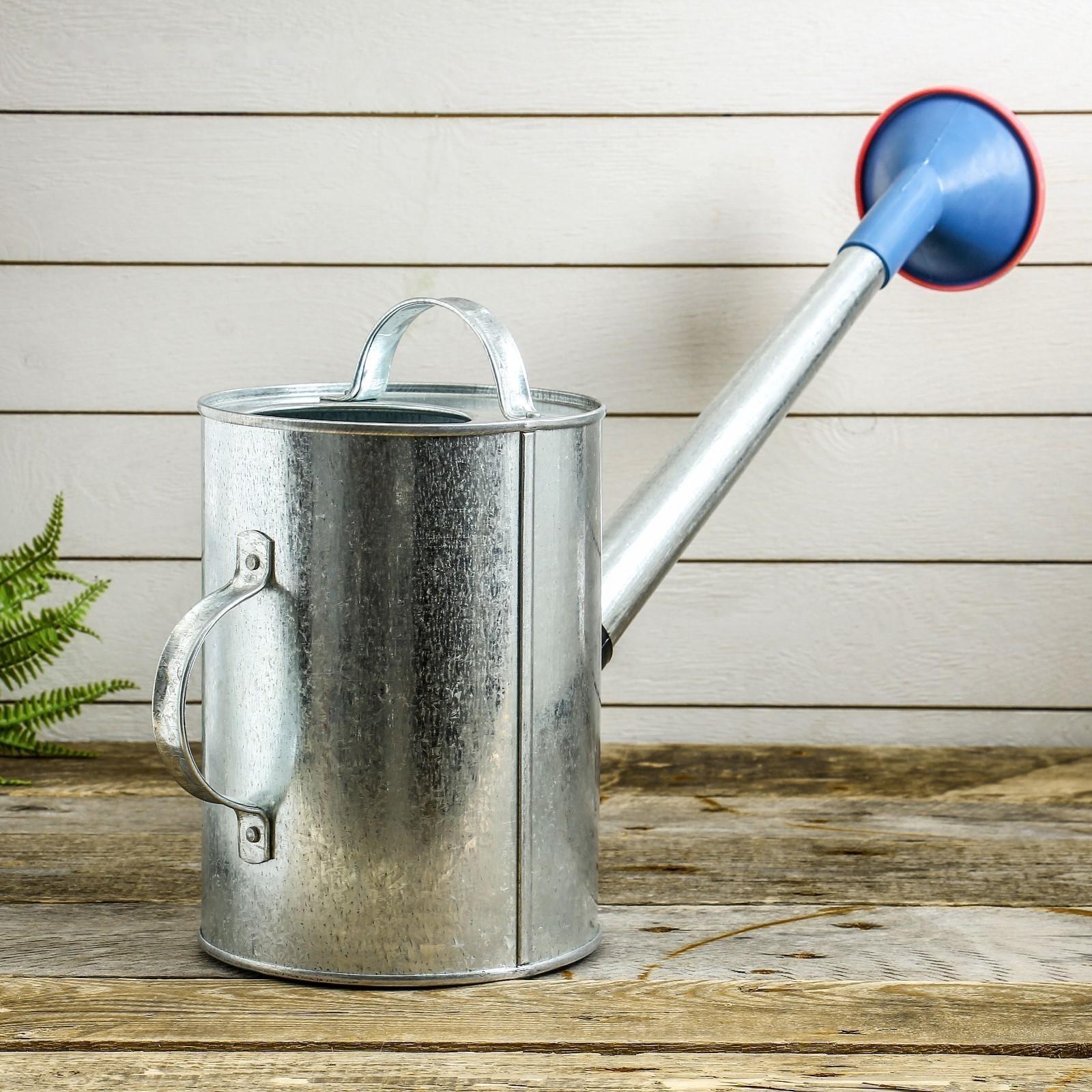Лейка, 5 л, с рассеивателем, оцинкованная, без рисунка
