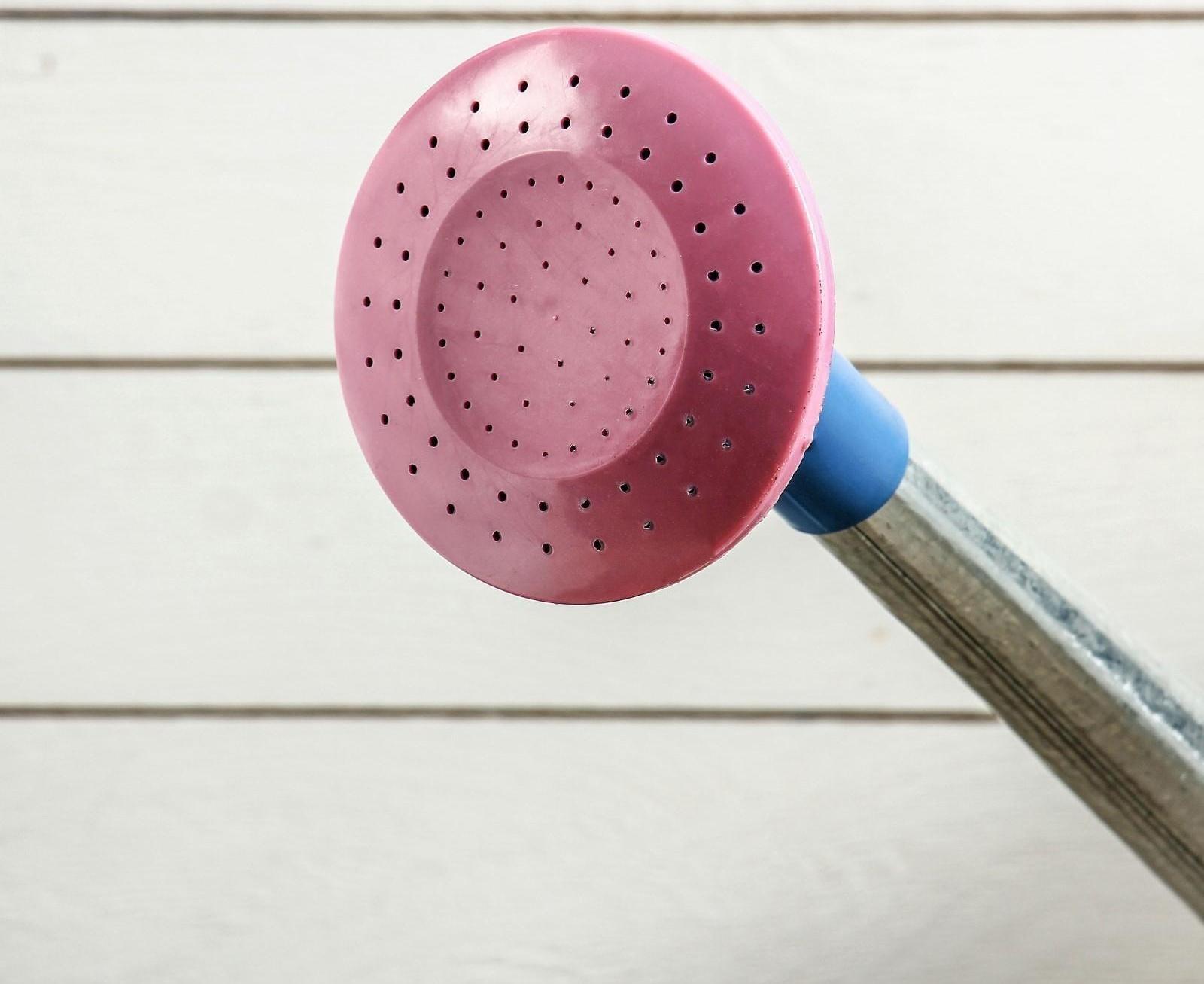 Лейка, 5 л, с рассеивателем, оцинкованная, без рисунка