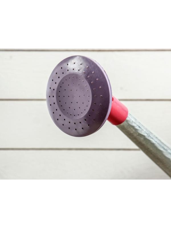 Лейка, 5 л, с рассеивателем, оцинкованная, без рисунка