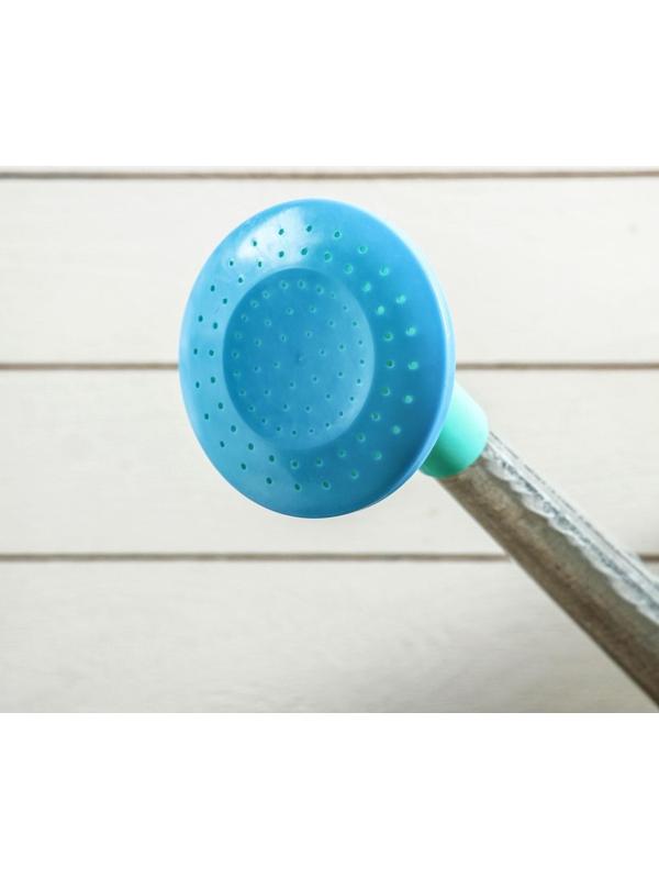 Лейка, 5 л, с рассеивателем, оцинкованная, без рисунка