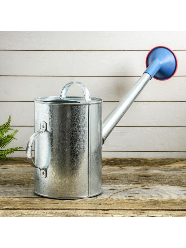 Лейка, 5 л, с рассеивателем, оцинкованная, без рисунка