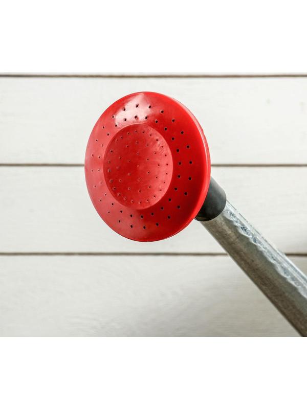 Лейка, 5 л, с рассеивателем, оцинкованная, без рисунка