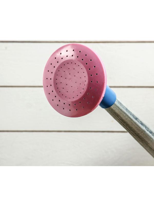 Лейка, 5 л, с рассеивателем, оцинкованная, без рисунка