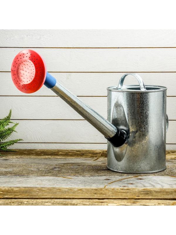 Лейка, 5 л, с рассеивателем, оцинкованная, без рисунка