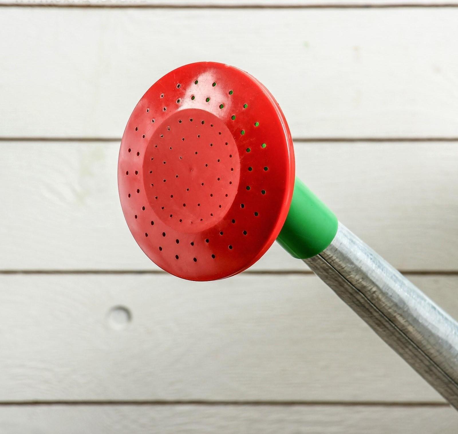 Лейка, 10 л, с рассеивателем, оцинкованная, без рисунка