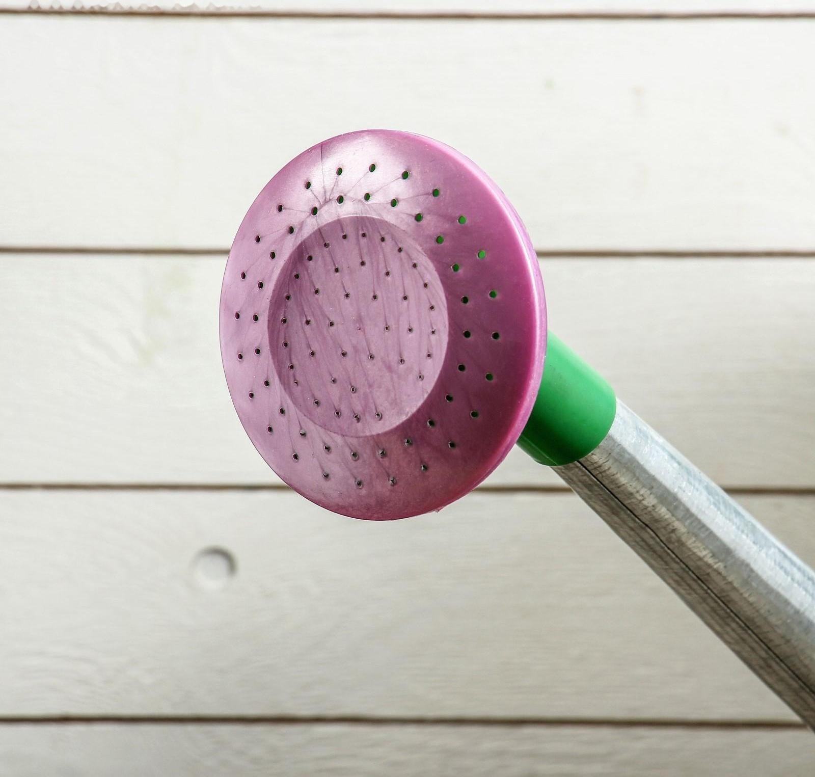 Лейка, 10 л, с рассеивателем, оцинкованная, без рисунка