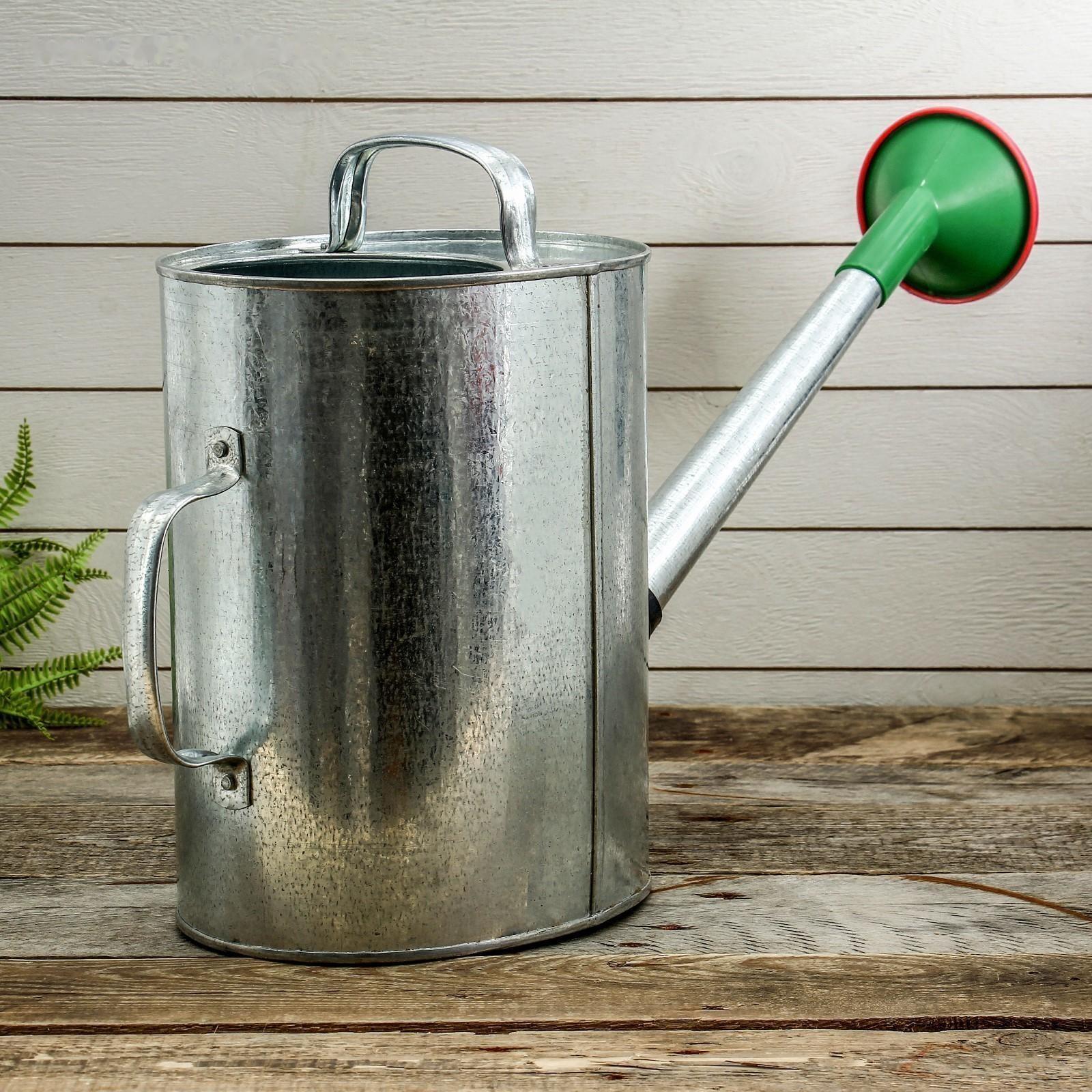 Лейка, 10 л, с рассеивателем, оцинкованная, без рисунка