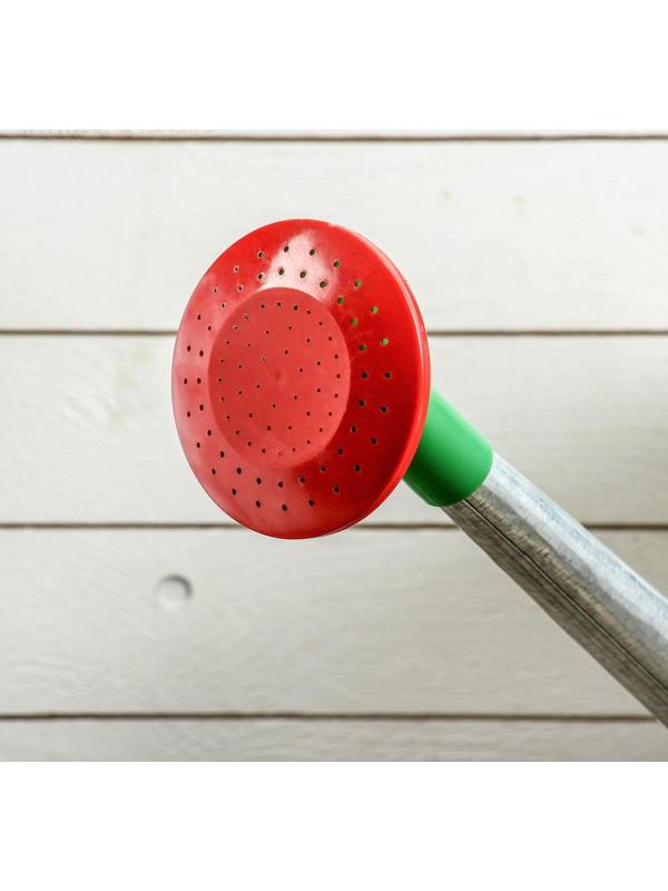 Лейка, 10 л, с рассеивателем, оцинкованная, без рисунка