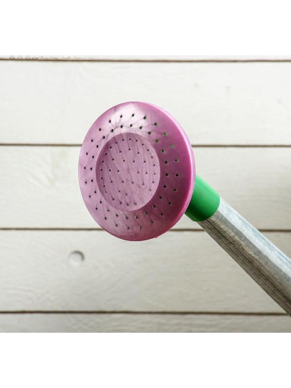 Лейка, 10 л, с рассеивателем, оцинкованная, без рисунка