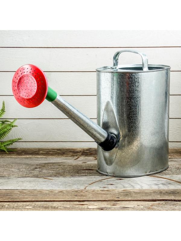 Лейка, 10 л, с рассеивателем, оцинкованная, без рисунка