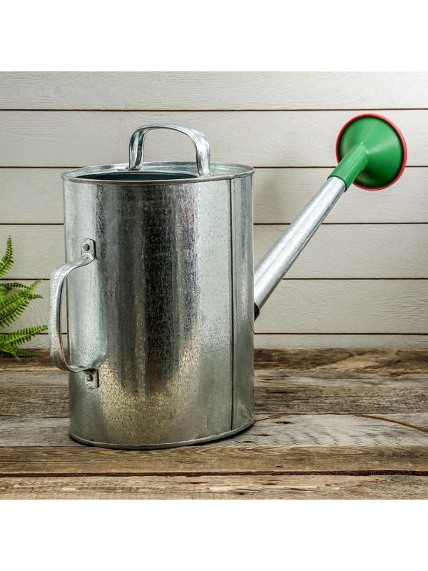 Лейка, 10 л, с рассеивателем, оцинкованная, без рисунка