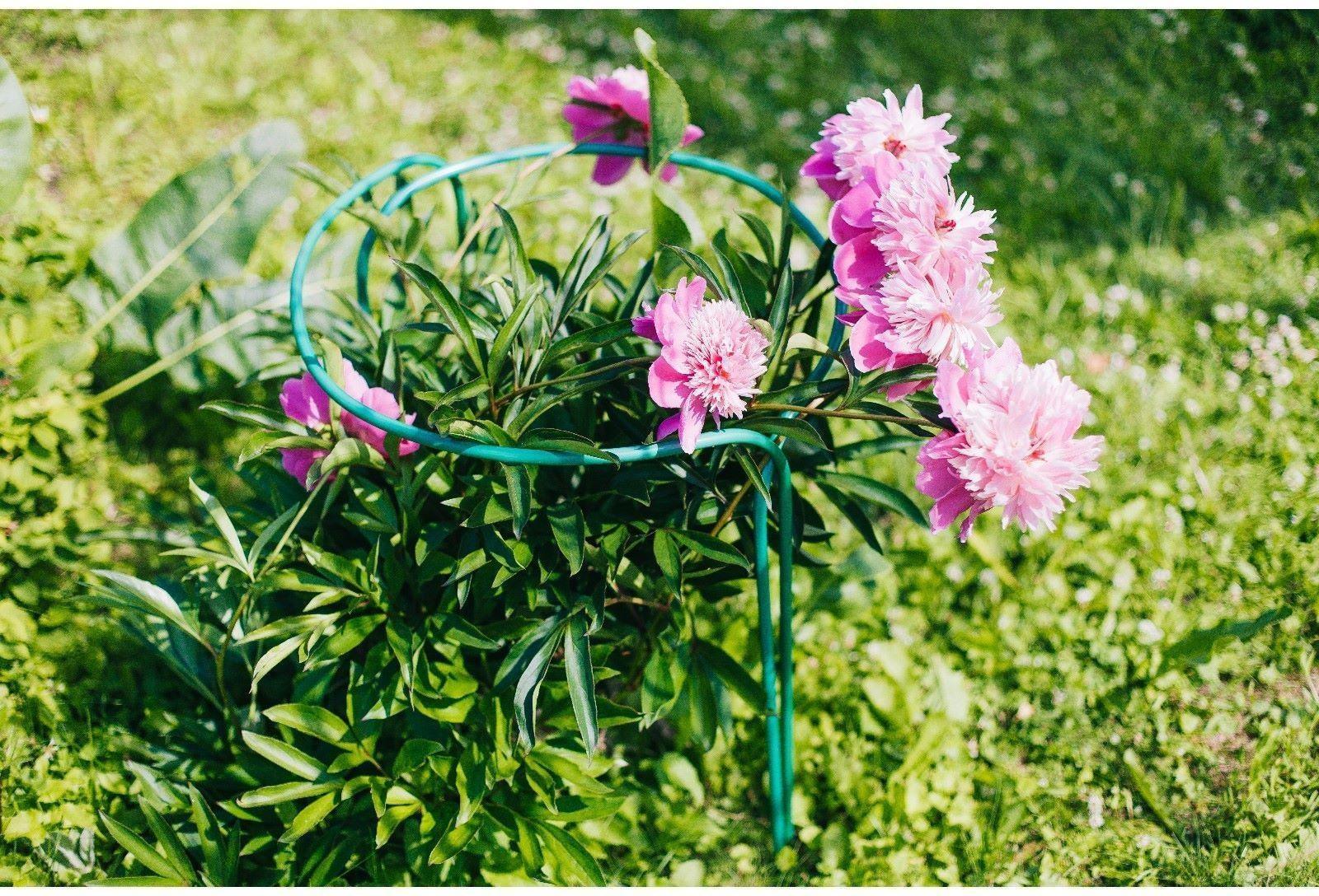 Кустодержатель, d = 40 см, h = 90 см, ножка d = 1 см, металл, набор 2 шт., зелёный