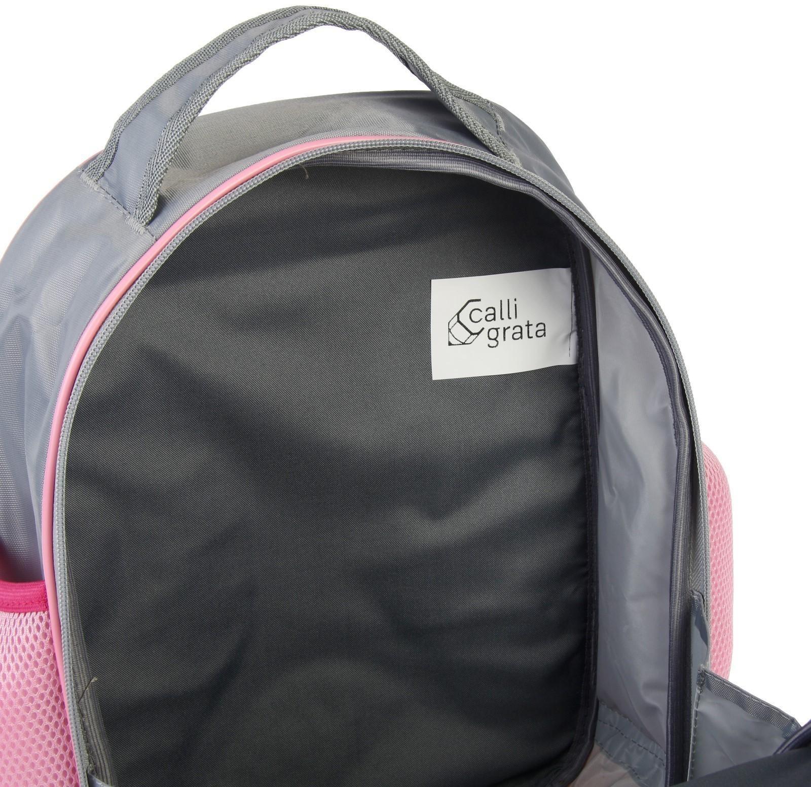 Рюкзак школьный, 37 х 27 х 16 см, эргономичная спинка, Calligrata Б 