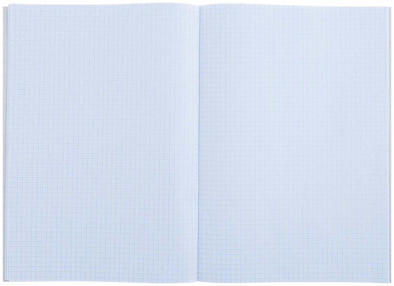 Тетрадь А4, 48 листов в клетку Calligrata 