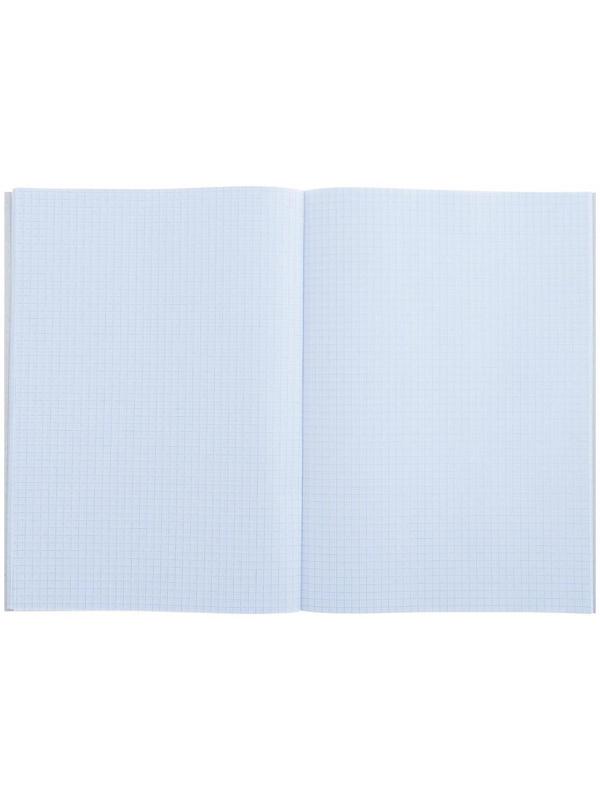 Тетрадь А4, 48 листов в клетку Calligrata 