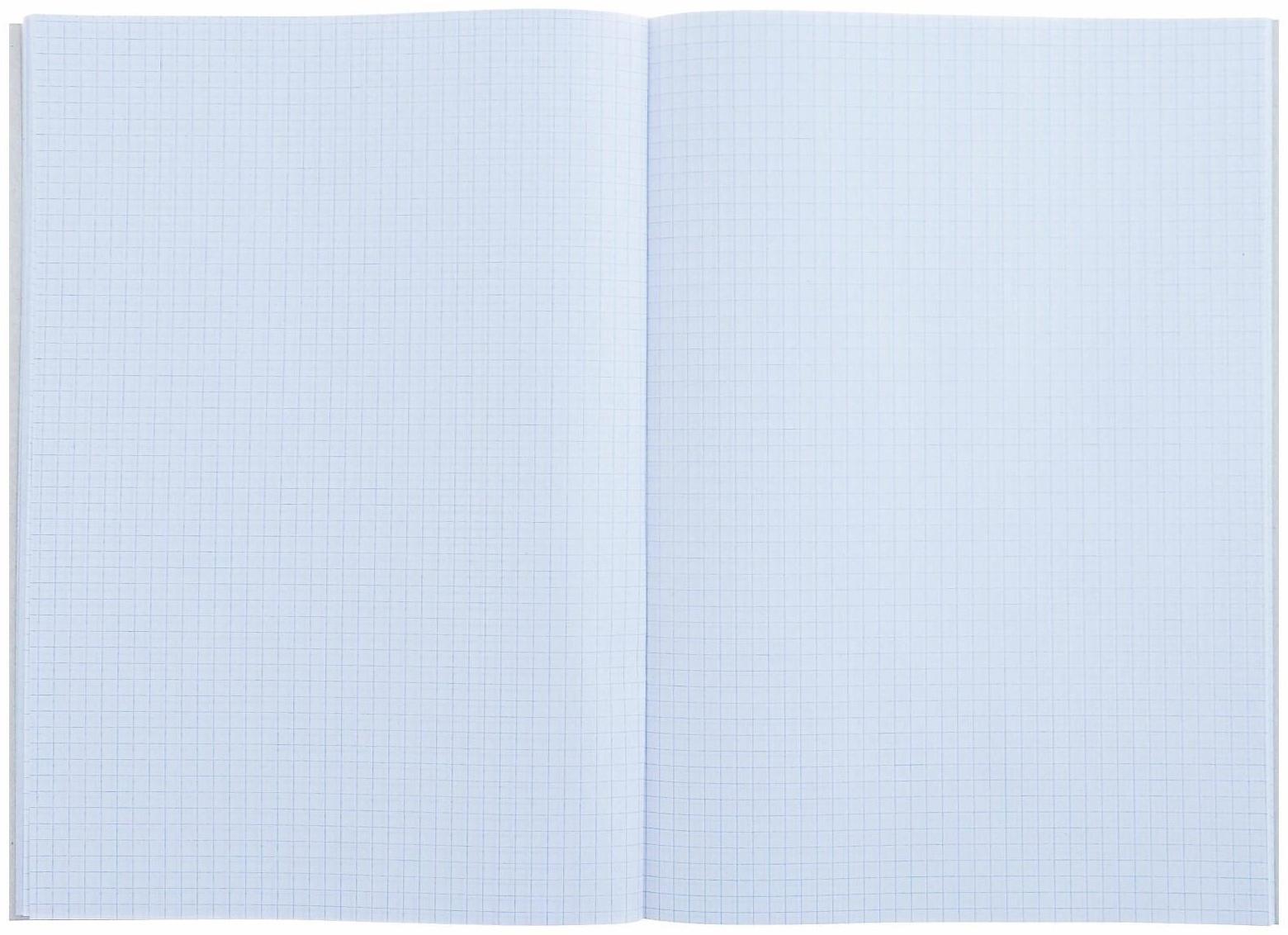 Тетрадь А4, 48 листов в клетку Calligrata 