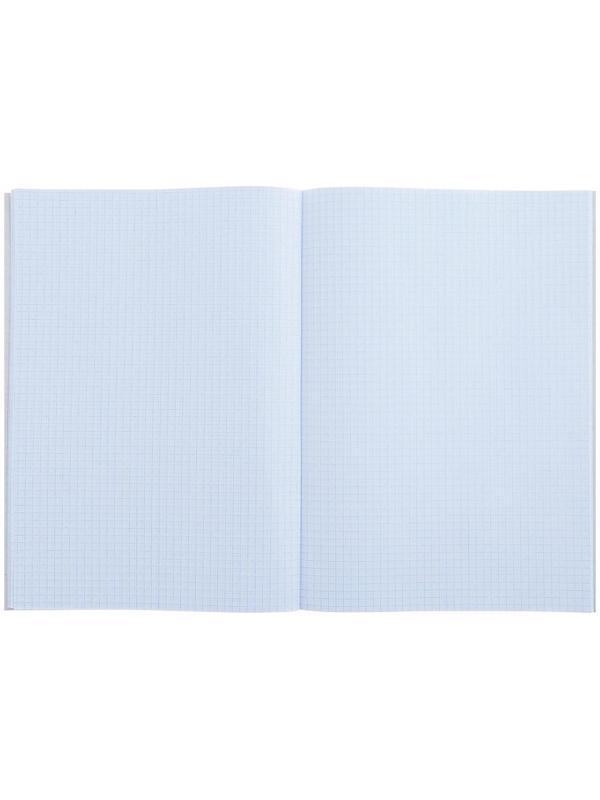Тетрадь А4, 48 листов в клетку Calligrata 
