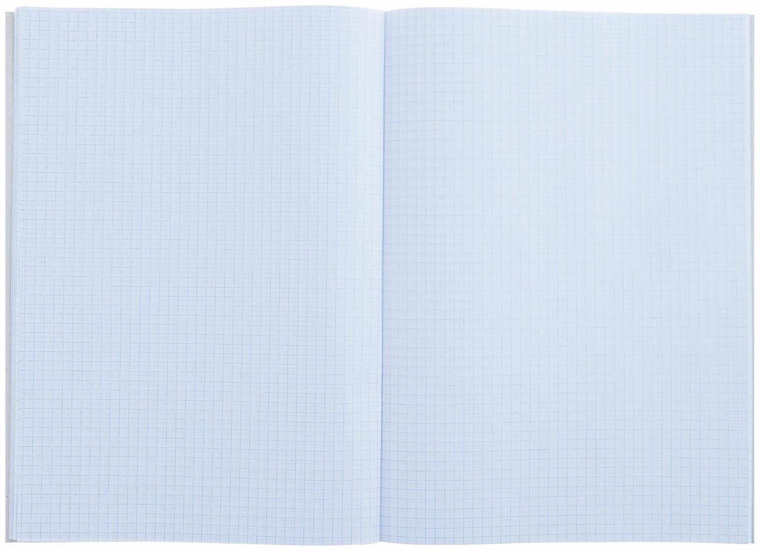 Тетрадь А4, 48 листов в клетку Calligrata 