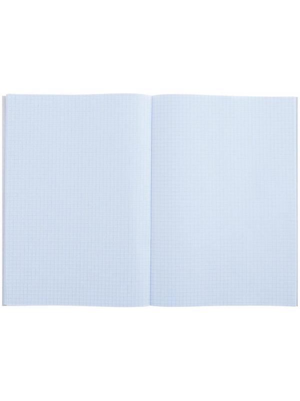 Тетрадь А4, 48 листов в клетку Calligrata 