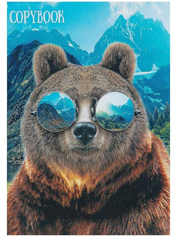 Тетрадь А4, 48 листов в клетку Calligrata 