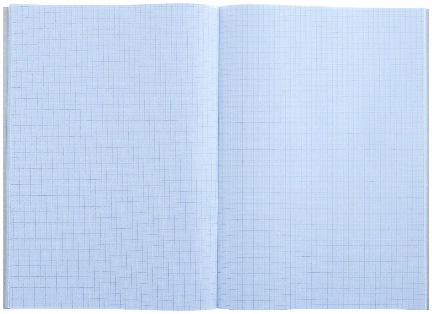 Тетрадь А4, 48 листов в клетку Calligrata 