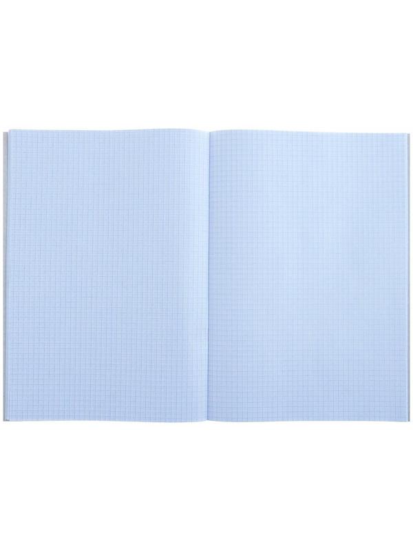 Тетрадь А4, 48 листов в клетку Calligrata 