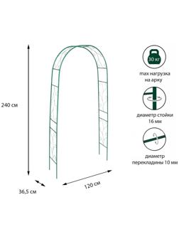 Арка садовая, разборная, 240 × 120 × 36.5 см, металл, зелёная, «Веточка»