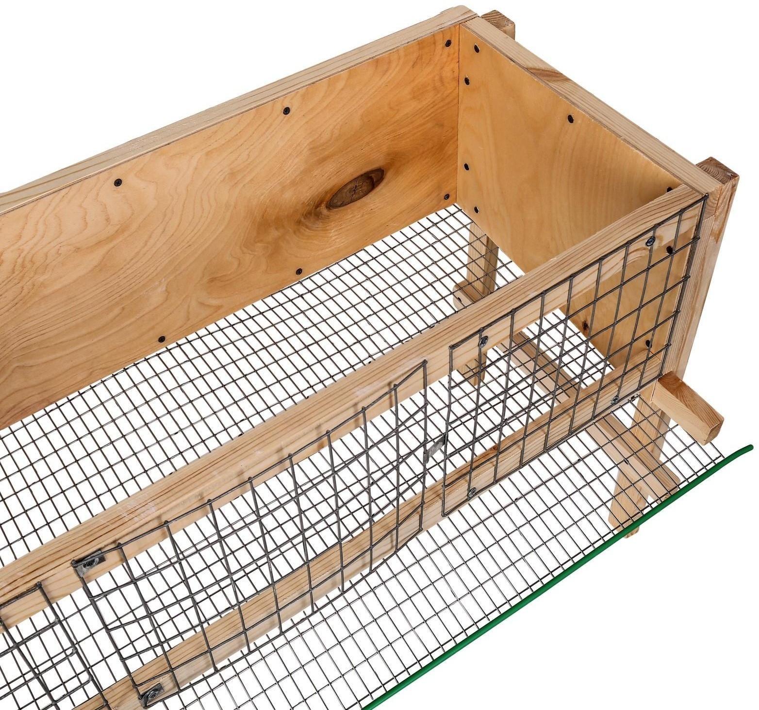 Клетка для перепелов, 100 × 60 × 35 см, на 25-40 голов, с яйцесборником, деревянная