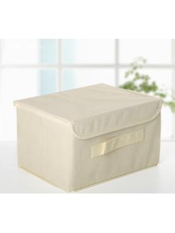 Короб стеллажный для хранения с крышкой «Алва», 26×20×15 см, цвет бежевый